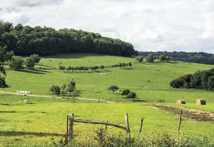 Les agriculteurs lozériens ont jusqu'au 30 juin pour profiter des subventions du plan de relance pour financer un projet de plantation de haies. L'association Copage qui aide à monter de tels projets rappelle leurs nombreux intérêts agro-écologiques.