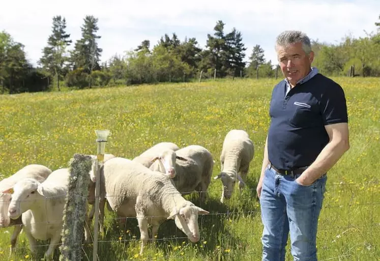 Dominique Pauc auprès d'une partie de son troupeau