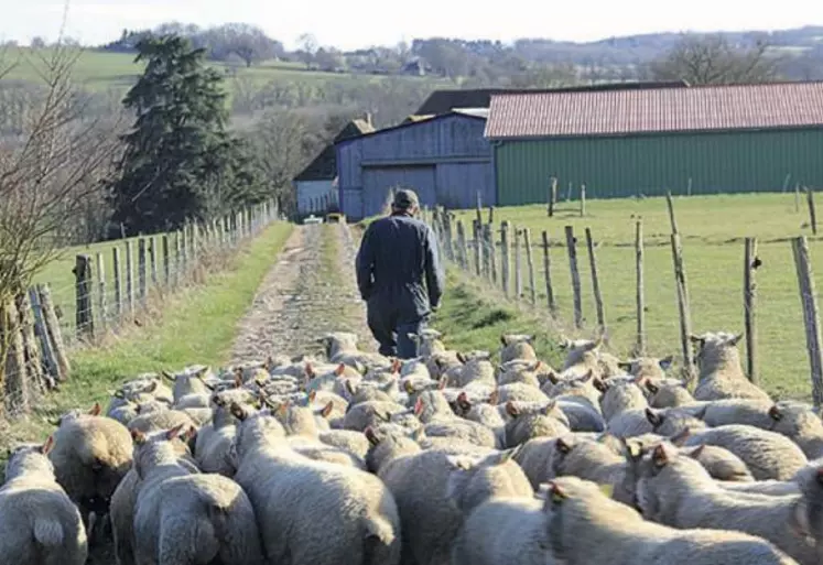 Un mois et demi de repos des parcelles en hiver.