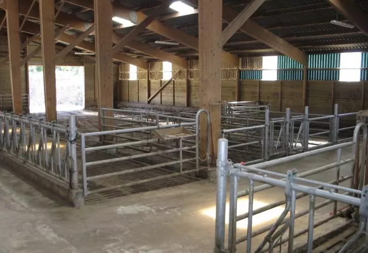 Luminaires et éclairage naturel dans un bâtiment d’élevage de ruminants.