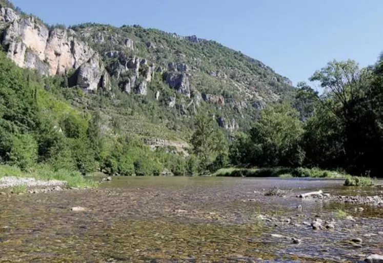 Alain Rousset, actuel président de la région Nouvelle-Aquitaine vient de succéder à Martin Malvy à la présidence du comité de bassin Adour-Garonne.