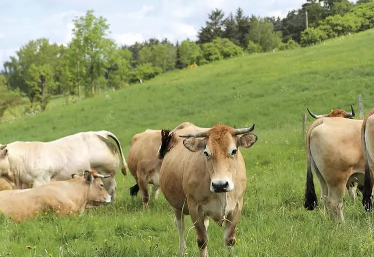 Malgré le mécontentement de certaines filières comme le vin, le passage en commission du projet de loi de finances rectificative (PLFR3) a occasionné peu de changements pour les secteurs dépendants de la restauration hors domicile. Les députés ne souhaitent pas classer l'agriculture comme « prioritaire » au même titre que le tourisme, ce qui ouvrirait à des exonérations sans condition de perte d'activité.