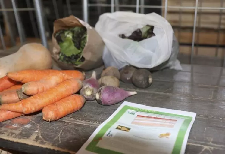 La MSA, le Jardin de cocagne* Lozère et la direction départementale de la cohésion sociale et de la protection des populations (DDCSPP) se sont alliés pour distribuer des paniers solidaires et de qualité aux familles dans le besoin, à prix moindre.