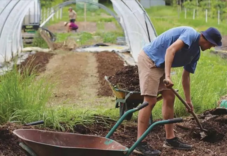 Ariane Catala est la responsable opérationnelle de l'association Le Passe jardins, un centre de ressources et de formation à Lyon, qui accompagne les projets de jardins partagés de la région Aura.