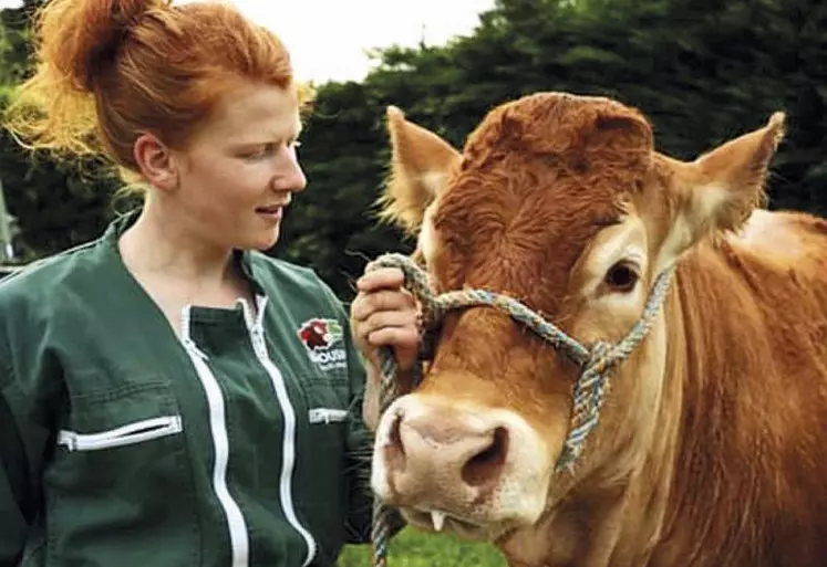 Cécile Lortholary deviendra agricultrice le 1er janvier prochain en système bovin viande et pommes. Elle nous livre ses impressions sur le parcours à l’installation.