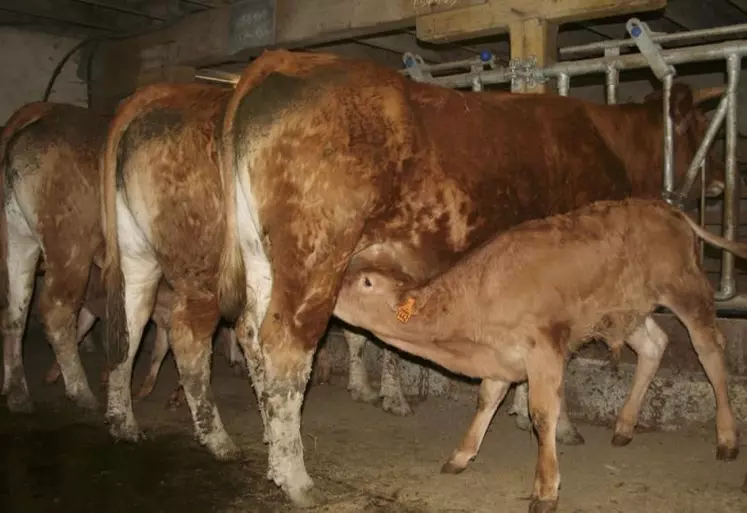 Mathieu est agriculteur, à Uzerche, pour lui, « il faut montrer ce qui va bien et dialoguer avec le consommateur ».