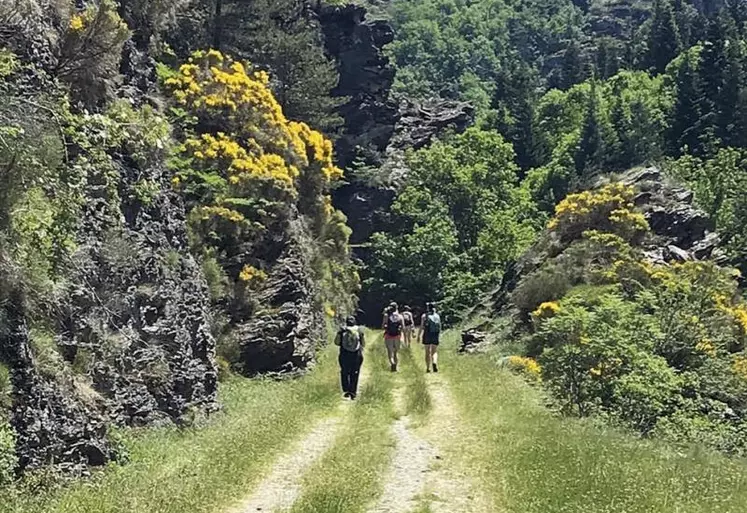 Alors que les annonces de déconfinement ont permis au secteur du tourisme d’envisager l’été, l’association du chemin Stevenson a présenté, ce 3 juin, un plan d’activité pour passer une saison qui s’annonce difficile.