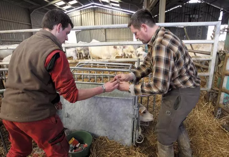 Les partenaires sociaux agricoles ont convenu de lier l’entrée en vigueur de la convention collective nationale de la production agricole et des Cuma (CCN PA‑Cuma) à l’extension du texte, et au 1er jour du trimestre suivant la publication de l’arrêté d’extension. L’arrêté d’extension n’étant pas paru au Journal officiel avant le 1er janvier 2021, sa mise en œuvre se voit reportée au trimestre suivant.