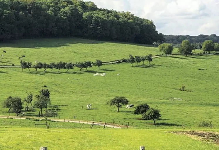 Les petites entreprises du secteur agricole pourront faire l’objet d’annulations de cotisations « au cas par cas », a annoncé le ministre des Finances Gérald Darmanin, à l’occasion de la présentation du troisième projet de loi de finances rectificative (PLFR3).