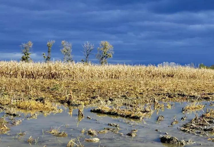 Le décret qui officialise les grands paramètres de la réforme sur la gestion des risques climatiques est paru au Journal officiel. Il précise notamment la marge de manœuvre de liberté contractuelle pour les contrats d’assurance récolte.