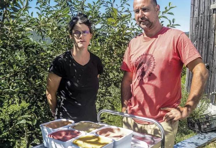 Au Collet-de-Dèze, Julie Jourget valorise des jardins en terrasse par une plantation de petits fruits qu’elle transforme en de savoureux sorbets en vente à Cévennes in the box.