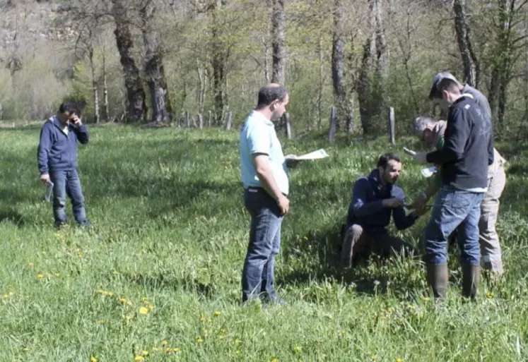 Des formations à la reconnaissance des végétaux seront organisées au printemps.