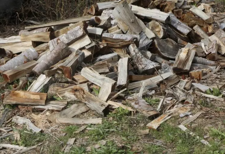 Placée en redressement judiciaire début octobre, l’usine de pâte à papier Fibre Excellence Tarascon connaît un incertain futur. Avec elle, c’est toute la filière bois de l’arc méditerranéen qui joue son avenir.