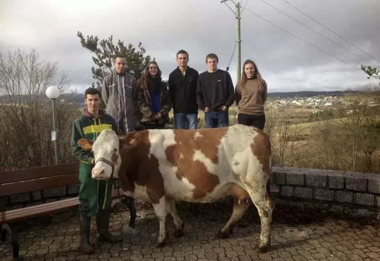 Thibault, Clément, Laurie, Bastien, Nathan et Malaurie (et la vache Florida, rebaptisée Marguerite pour l’occasion) représenteront le lycée François-Rabelais au TNLA.