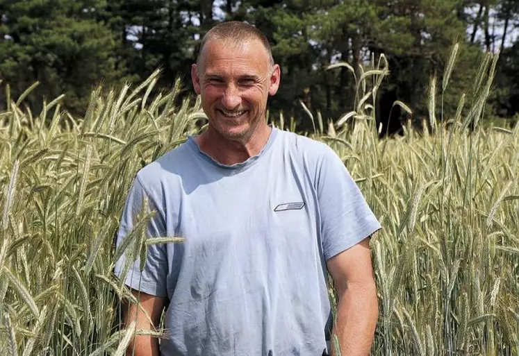 Mardi 27 juin, la chambre d'agriculture, en partenariat avec l'association Céréales montagne, a présenté une plateforme d'essais de céréales de montagne implantée à Auroux, sur une parcelle de Frédéric Condon.