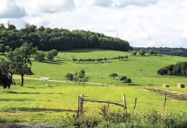 Bailleurs et preneurs ont confirmé leur communauté de vues pour inciter davantage les propriétaires à donner à bail, lors du congrès des propriétaires ruraux de la FNSEA, qui s'est tenu le 2 juillet. Ils se sont accordés sur l'instauration d'une nouvelle règle : « À nouveau preneur, nouveau bail ».