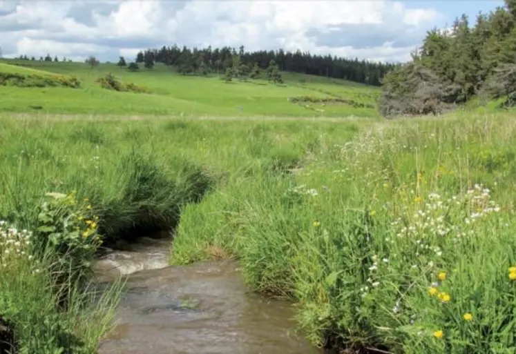 Le 2 février 1971, il y a cinquante ans déjà, 157 pays ont signé une convention internationale sur les zones humides à Ramsar en Iran. Depuis, cette date a été décrétée « Journée mondiale des zones humides », avec l’objectif de sensibiliser un large public pour leur préservation et faire reconnaître leur importance au niveau mondial.