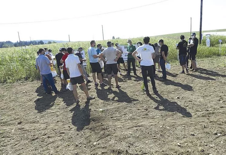 Jeudi 17 septembre en Haute-Loire, la chambre régionale d'agriculture et la FRCuma Auvergne Rhône Alpes proposaient divers ateliers sur le travail du sol et l'autonomie en élevage bio.