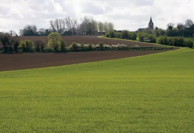 À l'occasion de l'examen du projet de loi de finances, l'exécutif a fait voter un amendement débloquant 60 millions d'euros en fonds propres dès 2022 pour les « projets agricoles d'avenir ». Le gouvernement a précisé les enveloppes et les mécanismes du plan France 2030.