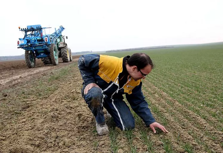 Le ministère de l'Agriculture a récemment assoupli la définition de l'agriculteur actif dans les SCEA, au grand dam de la Confédération paysanne. La mesure a été portée à titre « provisoire » par la FNSEA, pour donner le temps aux exploitations de s'adapter. Le syndicat doit encore mener un débat interne sur les règles à fixer à moyen et long terme.