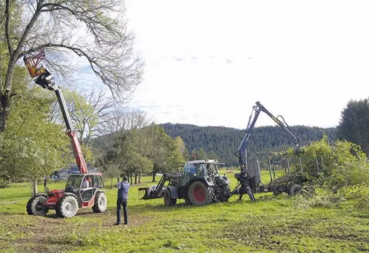 Il est interdit de tailler les haies entre le 1er avril et le 31 juillet inclus, excepté pour des raisons de sécurité ou si une branche touche une clôture électrique ou gêne le passage d'un engin.