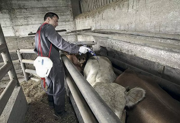 Les produits antiparasitaires apparaissent nombreux, alors que le nombre de molécules est réduit.