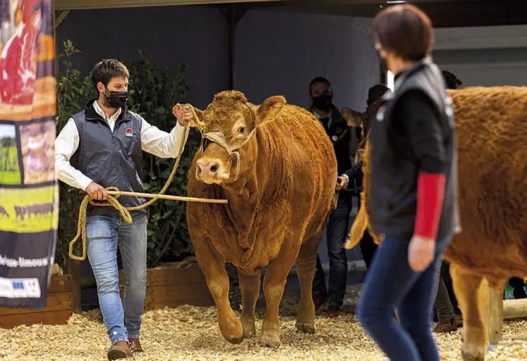 Du 25 février au 5 mars, la grand-messe annuelle de l’agriculture revient pour une 59e édition qui retrouve ses aplombs, après quelques années bousculées par des crises.