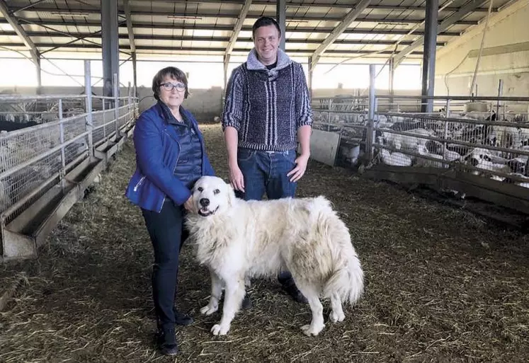 Christiane Lambert, présidente de la FNSEA, est venue sur l'exploitation ovine de Luc Étellin à Aiton en Savoie, pour soutenir les éleveurs face à la prédation du loup de plus en plus forte.