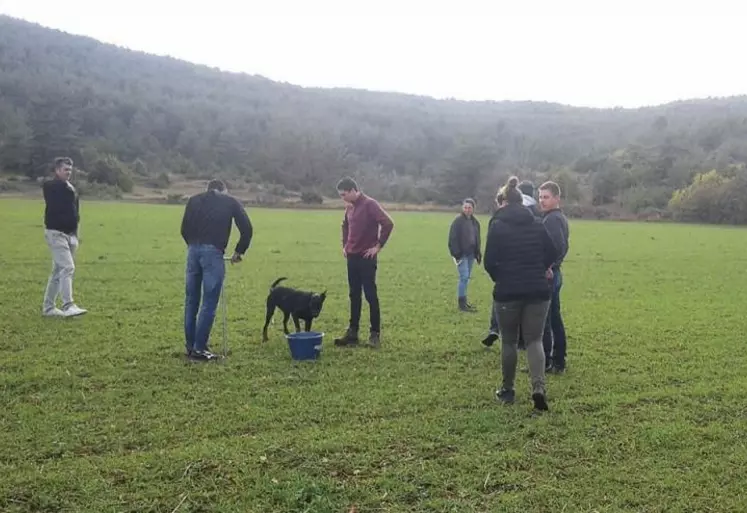 Chaque après-midi était consacrée à une sortie sur le terrain.