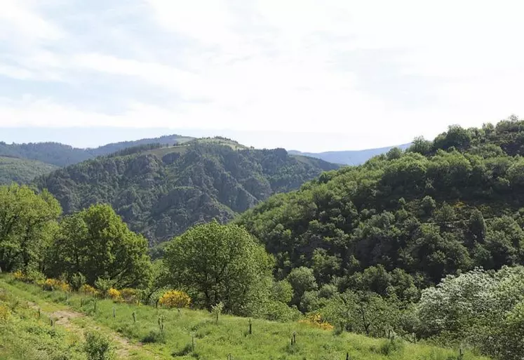 Alors qu’un programme Terra rural (mars 2021 à juin 2022), animé par le PETR sud Lozère et s’intéressant à l’agriculture, s’achève, un autre a été lancé (de septembre 2022 à juin 2024), dans la continuité des actions menées précédemment.