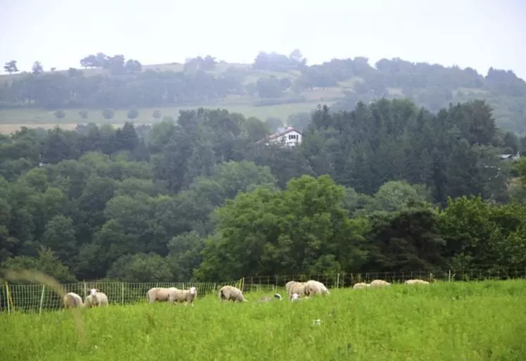 Le Massif central, terre d’élevage où les projets liés à l’activité agricole sont nombreux.