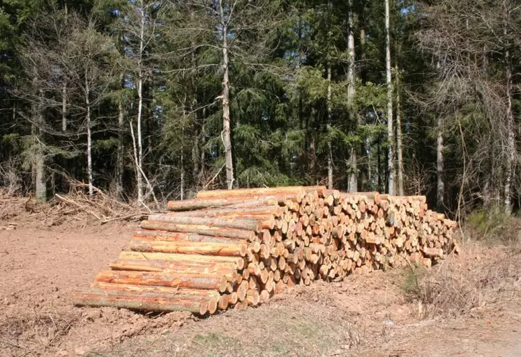 La surface couverte en forêt a plus que doublé en France en 200 ans.