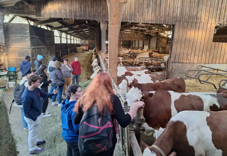 Les jeunes se sont montrés très intéressés par l'exploitation de Pauline et Claude Bonnet, en particulier  par les vaches laitières.