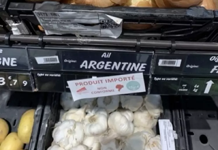 Gousses d'ail en rayon libre service, originaires d'Argentine