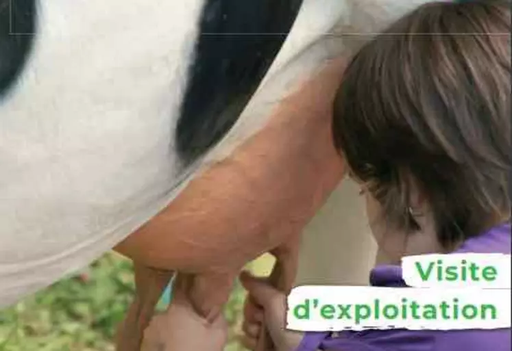 Mon été à la ferme