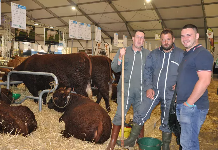 La salers et ses éleveurs à l'affiche de la 33ème édition du Sommet de l'Elevage à l'occasion de son concours national.