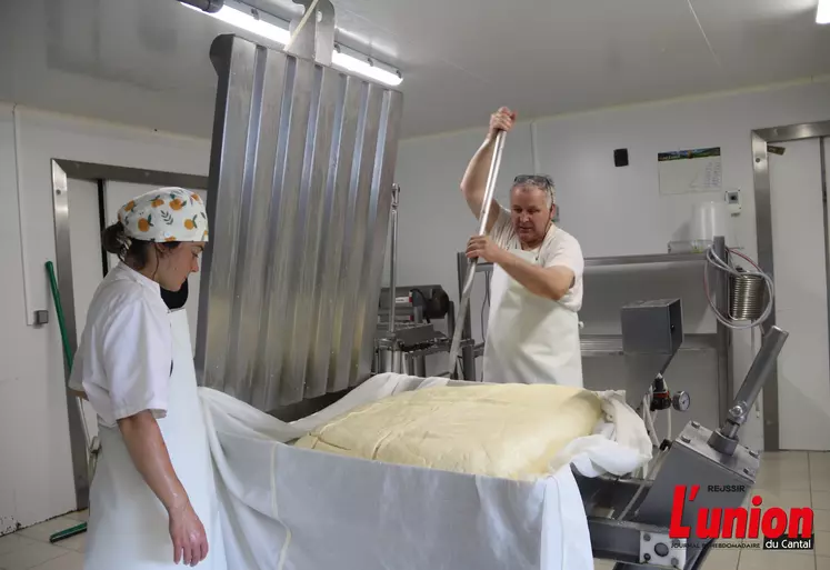 Atelier de transformation fromage. Producteur découpe la tome.