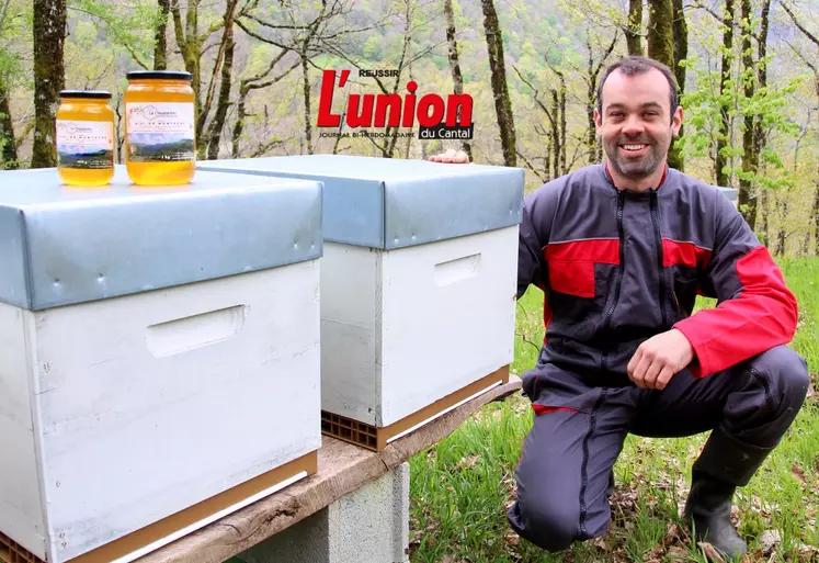 Apiculteur devant ses ruches dans le Cantal, avec en premier plan des pots de miel
