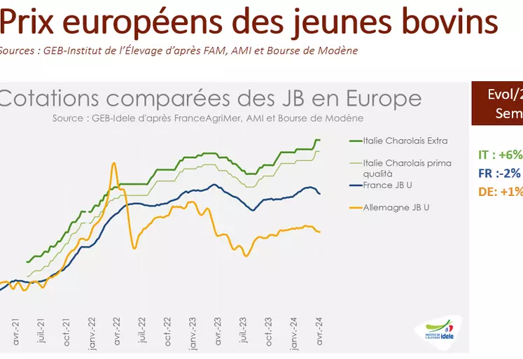 Courbe des prix européens des jeunes bovins.