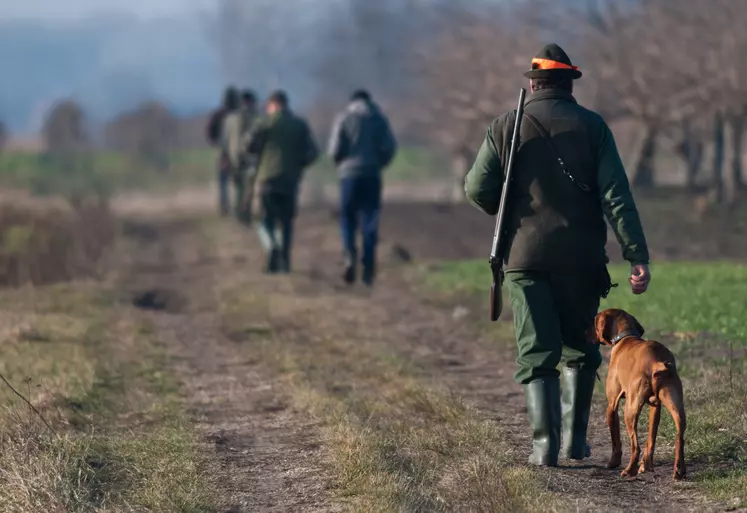 des chasseurs avec un chien