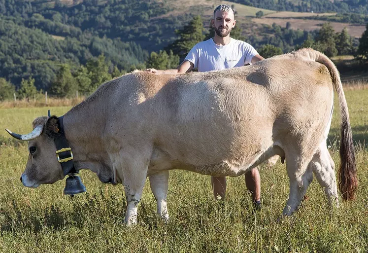 Florian Hostalier et l'une des Aubrac qu'il présentera à Nasbinals le 14 septembre