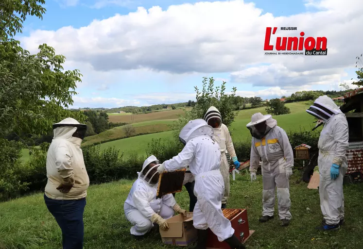 Apiculteurs transvasant dans un pré les abeilles d'une ruche à une autre.