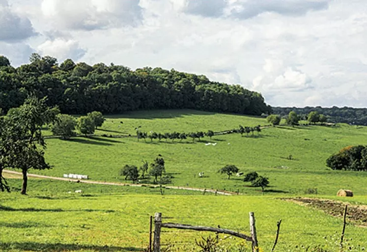 Des champs dans le massif central