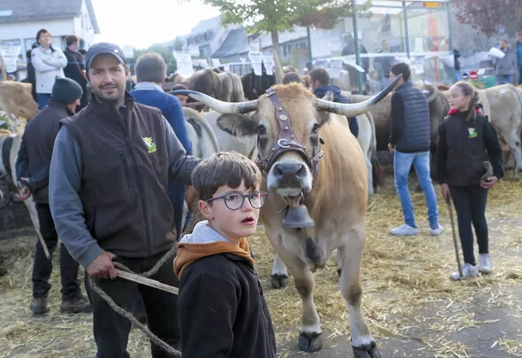 Le départemental Aubrac à Nasbinals