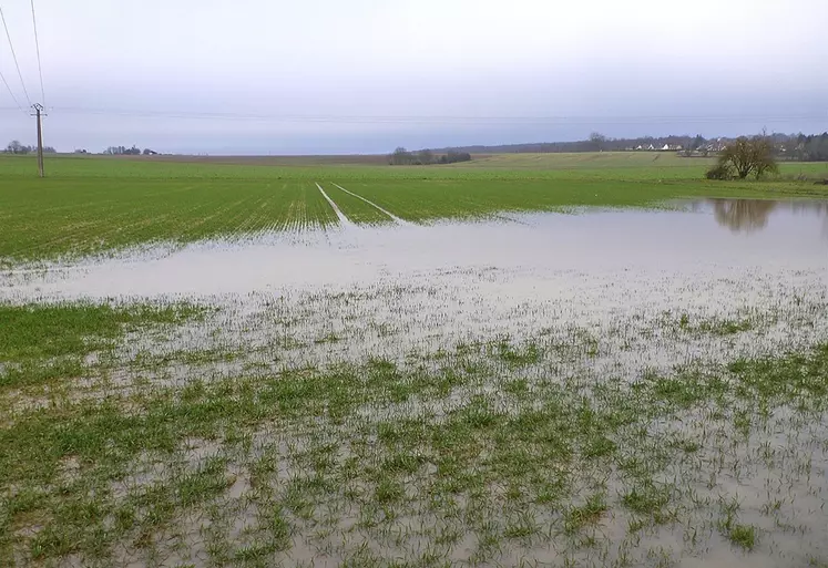 Une parcelle inondée