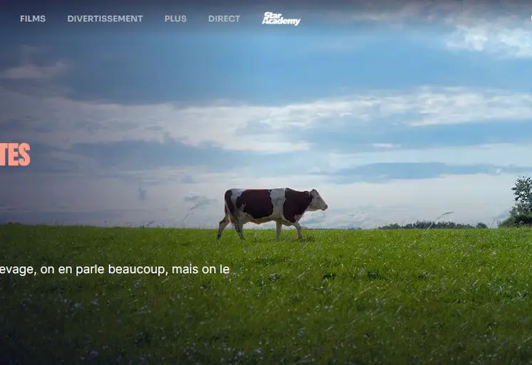 capture d'écran programmation pas si bêtes sur TF1.