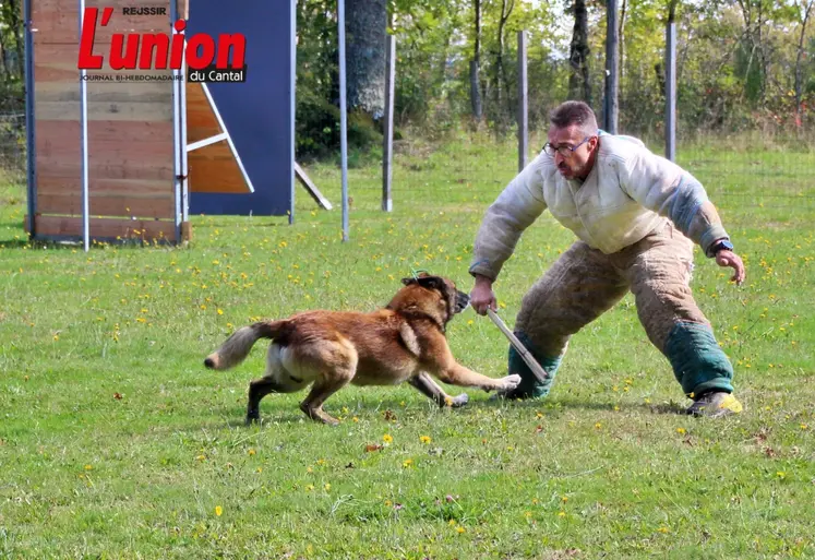 competition sportive canine, le chien et l'homme d'attaque