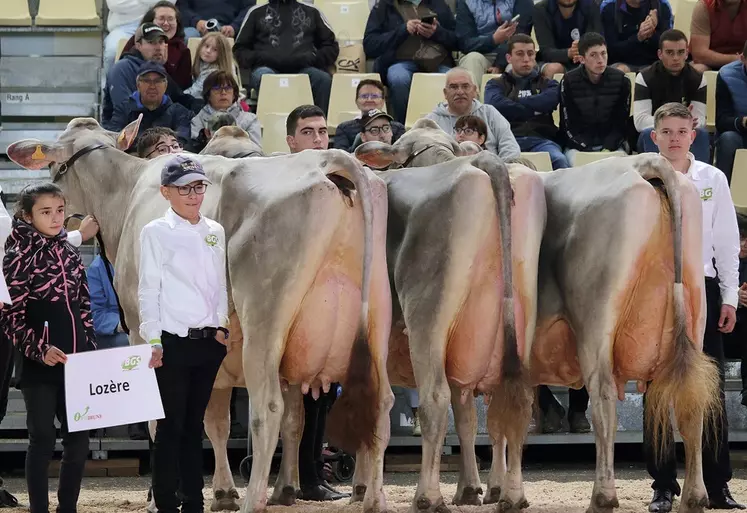 Le concours des lots en Brunes