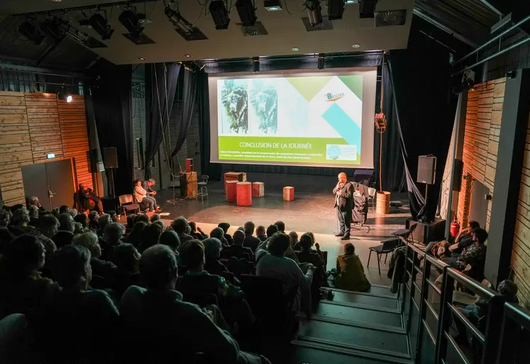 salle de cinéma remplie