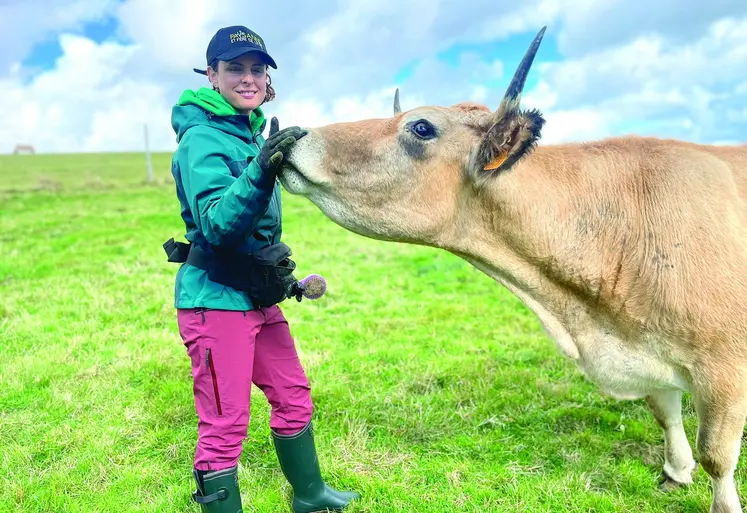 Jeune femme caresse le museau d'une vache dans un pré.